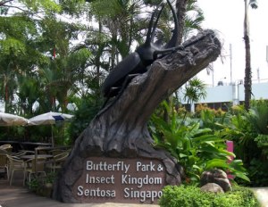 butterfly-park
